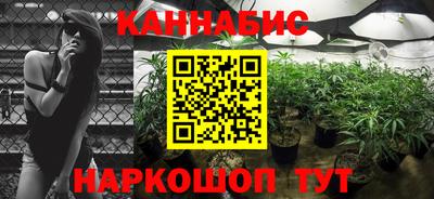 индика Кимры