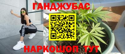индика Кимры