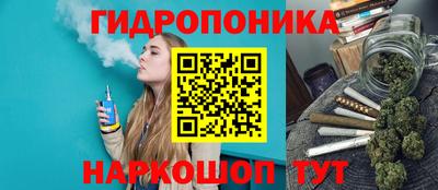 a pvp Кинель